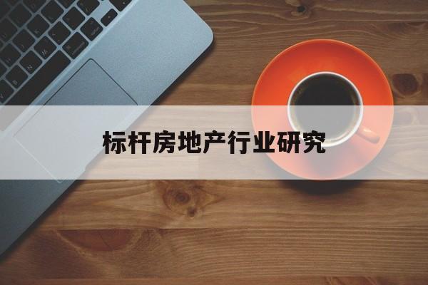 南京市标杆房地产行业研究(房地产领域的标杆人物)
