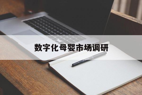 南京市数字化母婴市场调研(数字化母婴市场调研报告)